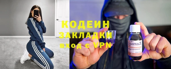 стафф Арсеньев