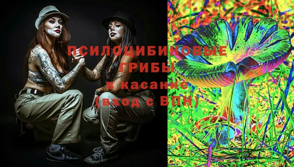 стафф Армянск