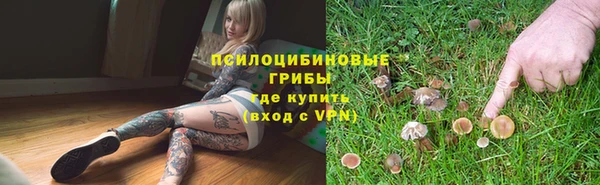 не бодяженный Аркадак