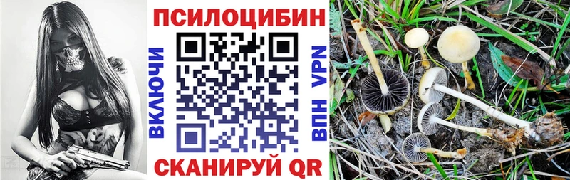 наркошоп  гидра зеркало  Галлюциногенные грибы мицелий  маркетплейс как зайти  Наволоки 