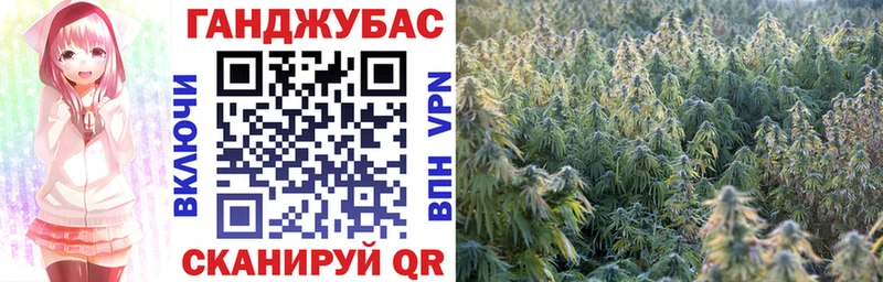 darknet клад  где найти наркотики  Наволоки  Бошки Шишки индика 